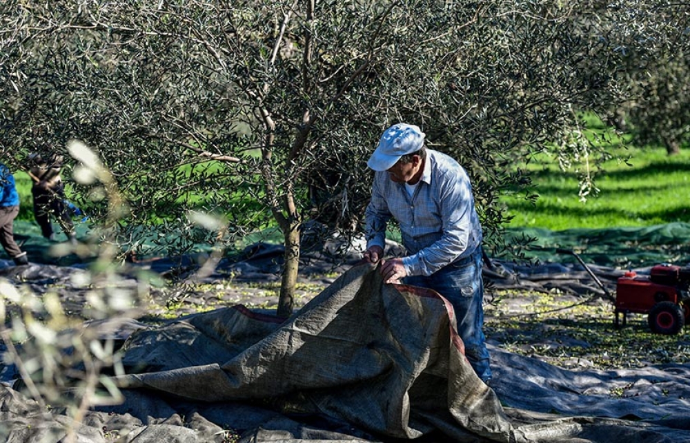 &Epsilon;&nu;ί&sigma;&chi;&upsilon;&sigma;&eta; &tau;&eta;&sigmaf; &pi;&alpha;&rho;&alpha;&gamma;&omega;&gamma;ή&sigmaf; &sigma;&epsilon; &tau;&omicron;&pi;&iota;&kappa;ό &epsilon;&pi;ί&pi;&epsilon;&delta;&omicron;