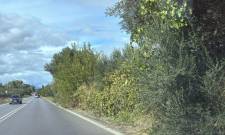Έ&kappa;&kappa;&lambda;&eta;&sigma;&eta; &gamma;&iota;&alpha; &kappa;&alpha;&theta;&alpha;&rho;&iota;&sigma;&mu;ό &beta;&lambda;ά&sigma;&tau;&eta;&sigma;&eta;&sigmaf; &sigma;&tau;&omicron;&nu; &delta;&rho;ό&mu;&omicron; &Sigma;&pi;ά&rho;&tau;&eta;&sigmaf;&ndash;&Gamma;&upsilon;&theta;&epsilon;ί&omicron;&upsilon;
