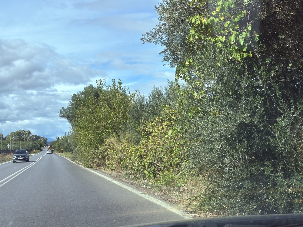 Έ&kappa;&kappa;&lambda;&eta;&sigma;&eta; &gamma;&iota;&alpha; &kappa;&alpha;&theta;&alpha;&rho;&iota;&sigma;&mu;ό &beta;&lambda;ά&sigma;&tau;&eta;&sigma;&eta;&sigmaf; &sigma;&tau;&omicron;&nu; &delta;&rho;ό&mu;&omicron; &Sigma;&pi;ά&rho;&tau;&eta;&sigmaf;&ndash;&Gamma;&upsilon;&theta;&epsilon;ί&omicron;&upsilon;