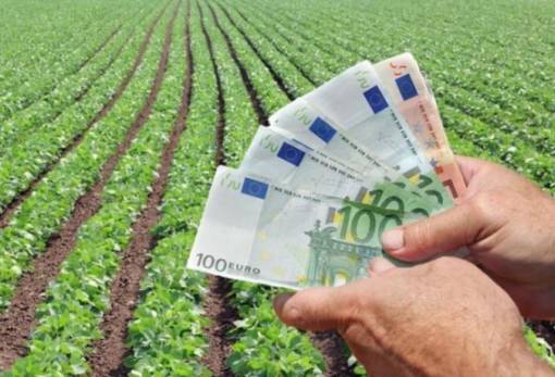 Προκαταβολές αποζημιώσεων για ζημιές 2025 από ΕΛ.Γ.Α.