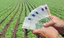 &Pi;&rho;&omicron;&kappa;&alpha;&tau;&alpha;&beta;&omicron;&lambda;έ&sigmaf; &alpha;&pi;&omicron;&zeta;&eta;&mu;&iota;ώ&sigma;&epsilon;&omega;&nu; &gamma;&iota;&alpha; &zeta;&eta;&mu;&iota;έ&sigmaf; 2025 &alpha;&pi;ό &Epsilon;&Lambda;.&Gamma;.&Alpha;.