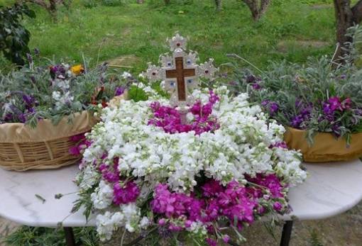 Στολισμός Τίμιου Σταυρού: Κάλεσμα της Ενορίας Αγίου Σπυρίδωνος για προσφορά λουλουδιών