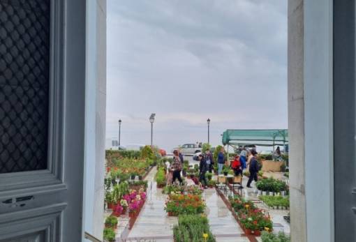 Ανθίζει ξανά το Γύθειο: Κάλεσμα συμμετοχής στη 14η «Γιορτή Άνοιξης»