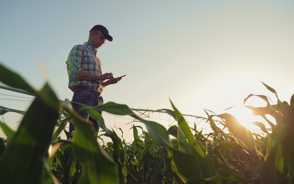 &Sigma;&Sigma; &Kappa;&Alpha;&Pi;: &Alpha;&pi;ό 9 &Alpha;&upsilon;&gamma;&omicron;ύ&sigma;&tau;&omicron;&upsilon; &omicron;&iota; &alpha;&iota;&tau;ή&sigma;&epsilon;&iota;&sigmaf;  &gamma;&iota;&alpha; &tau;&eta; &sigma;ύ&sigma;&tau;&alpha;&sigma;&eta; &Omicron;&mu;ά&delta;&omega;&nu; &kappa;&alpha;&iota; &Omicron;&rho;&gamma;&alpha;&nu;ώ&sigma;&epsilon;&omega;&nu; &Pi;&alpha;&rho;&alpha;&gamma;&omega;&gamma;ώ&nu;