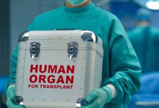 1η Νοεμβρίου 2023: Πανελλήνια Ημέρα Δωρεάς Οργάνων και Μεταμοσχεύσεων