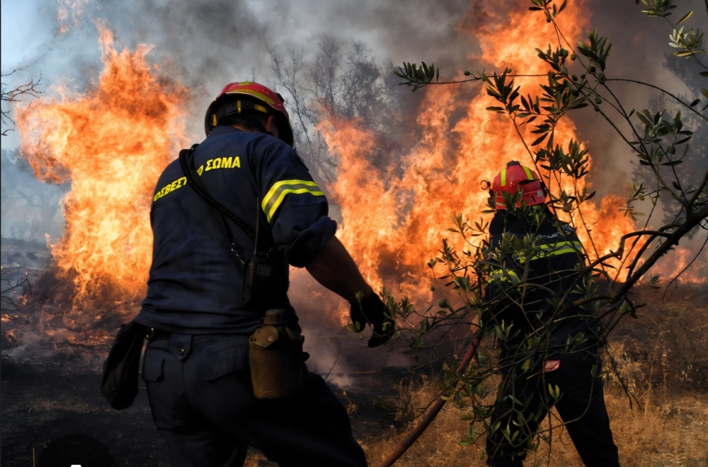&Omicron;&mu;&alpha;&delta;&iota;&kappa;ή ά&mu;&upsilon;&nu;&alpha; &gamma;&iota;&alpha; &alpha;&nu;έ&pi;&alpha;&phi;&eta; &laquo;&epsilon;&sigma;&tau;ί&alpha;&raquo; &sigma;&tau;&alpha; &delta;ά&sigma;&eta; &tau;&eta;&sigmaf; &Lambda;&alpha;&kappa;&omega;&nu;ί&alpha;&sigmaf;