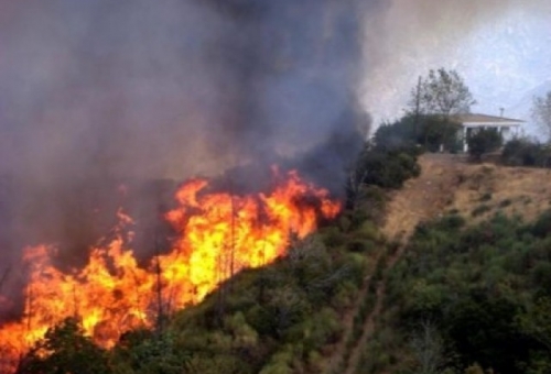 Στάχτη 2.000 στρέμματα στη Μεσσηνία