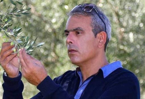 Μια «χρυσή» ελαιοκομική προοπτική για τη Λακωνία