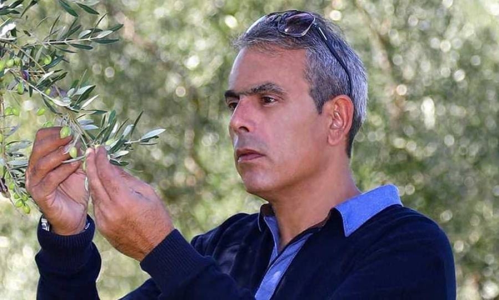 &Mu;&iota;&alpha; &laquo;&chi;&rho;&upsilon;&sigma;ή&raquo; &epsilon;&lambda;&alpha;&iota;&omicron;&kappa;&omicron;&mu;&iota;&kappa;ή &pi;&rho;&omicron;&omicron;&pi;&tau;&iota;&kappa;ή &gamma;&iota;&alpha; &tau;&eta; &Lambda;&alpha;&kappa;&omega;&nu;ί&alpha;