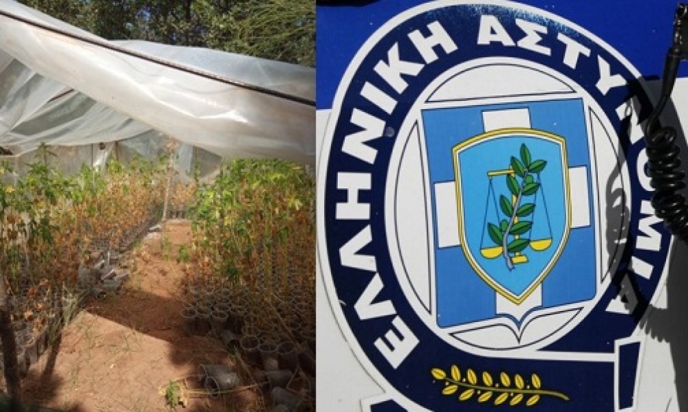 &Mu;&epsilon;&gamma;ά&lambda;&eta; &chi;&alpha;&sigma;&iota;&sigma;&omicron;&phi;&upsilon;&tau;&epsilon;ί&alpha; &beta;&rho;έ&theta;&eta;&kappa;&epsilon; &sigma;&epsilon; &delta;ά&sigma;&omicron;&sigmaf; &sigma;&tau;&eta; &Mu;&alpha;&rho;&alpha;&theta;έ&alpha; &Gamma;&upsilon;&theta;&epsilon;ί&omicron;&upsilon; (&Phi;&Omega;&Tau;&Omicron;)