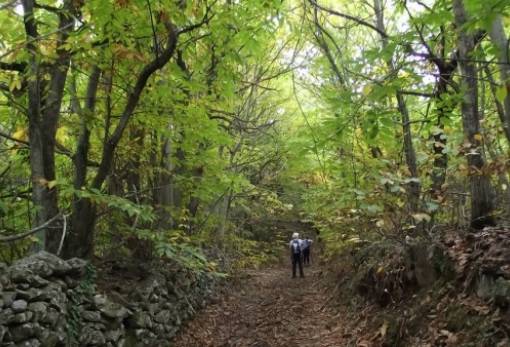 Μονοπάτι ανάπτυξης συνδέει Ταΰγετο και Μαίναλο!