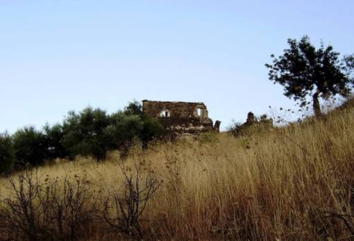 Ο Μαμαλιάς θα επιστρέφει πάντα στο Λίμπερδο