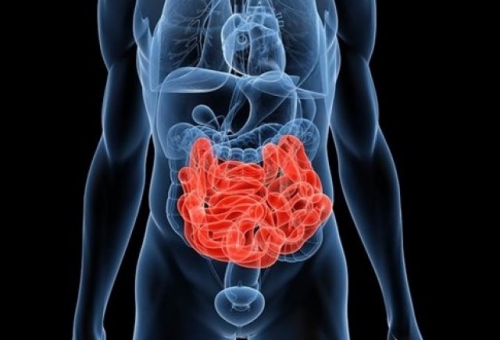 Νέα διαγνωστική τεχνική υπόσχεται πιο λεπτομερή εξέταση του εντέρου
