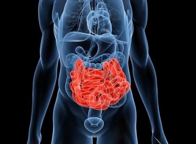 &Nu;έ&alpha; &delta;&iota;&alpha;&gamma;&nu;&omega;&sigma;&tau;&iota;&kappa;ή &tau;&epsilon;&chi;&nu;&iota;&kappa;ή &upsilon;&pi;ό&sigma;&chi;&epsilon;&tau;&alpha;&iota; &pi;&iota;&omicron; &lambda;&epsilon;&pi;&tau;&omicron;&mu;&epsilon;&rho;ή &epsilon;&xi;έ&tau;&alpha;&sigma;&eta; &tau;&omicron;&upsilon; &epsilon;&nu;&tau;έ&rho;&omicron;&upsilon;