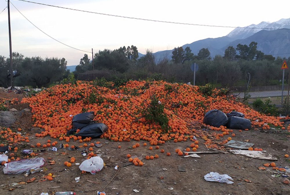 &laquo;&Nu;&alpha; &pi;&epsilon;&rho;&iota;&mu;έ&nu;&omicron;&upsilon;&mu;&epsilon; &kappa;ά&pi;&omicron;&iota;&alpha; &epsilon;&xi;ή&gamma;&eta;&sigma;&eta;;&raquo;