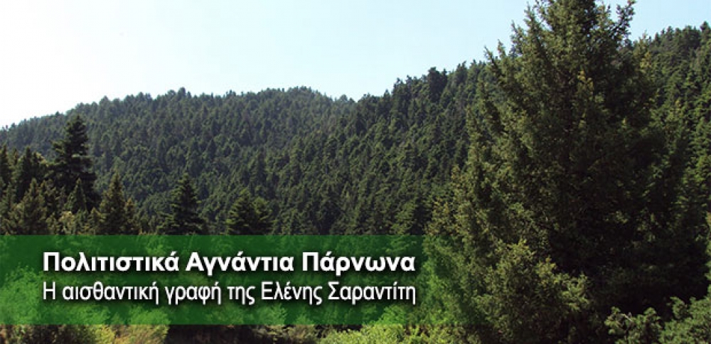 &Beta;&rho;&alpha;&delta;&iota;ά &lambda;&omicron;&gamma;&omicron;&tau;&epsilon;&chi;&nu;ί&alpha;&sigmaf; &sigma;&tau;&alpha; &Tau;&sigma;ί&nu;&tau;&zeta;&iota;&nu;&alpha; &mu;&epsilon; &tau;&eta;&nu; &Epsilon;. &Sigma;&alpha;&rho;&alpha;&nu;&tau;ί&tau;&eta;