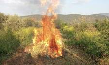 &Alpha;&nu;&tau;&iota;&pi;&upsilon;&rho;&iota;&kappa;ή &pi;&epsilon;&rho;ί&omicron;&delta;&omicron;&sigmaf; 2026: &Pi;&rho;&omicron;&sigma;&omicron;&chi;ή &sigma;&tau;&iota;&sigmaf; &kappa;&alpha;ύ&sigma;&epsilon;&iota;&sigmaf; &kappa;&lambda;&alpha;&delta;&epsilon;&mu;ά&tau;&omega;&nu;