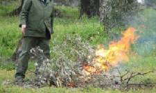 &Eta; &kappa;&alpha;ύ&sigma;&eta; &kappa;&lambda;&alpha;&delta;&iota;ώ&nu; &sigma;&epsilon; &chi;&omega;&rho;ά&phi;&iota; &sigma;&tau;&eta; &Sigma;&pi;ά&rho;&tau;&eta; &sigma;&tau;&omicron;ί&chi;&iota;&sigma;&epsilon;&hellip; &sigma;ύ&lambda;&lambda;&eta;&psi;&eta; &kappa;&alpha;&iota; &tau;&sigma;&omicron;&upsilon;&chi;&tau;&epsilon;&rho;ό &pi;&rho;ό&sigma;&tau;&iota;&mu;&omicron;