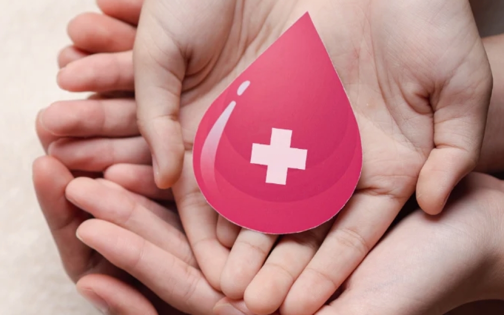 &Zeta;&omega;ή &sigma;&epsilon; &kappa;ά&theta;&epsilon; &sigma;&tau;&alpha;&gamma;ό&nu;&alpha;: 11&eta; &Epsilon;&nu;&omicron;&rho;&iota;&alpha;&kappa;ή &Alpha;&iota;&mu;&omicron;&delta;&omicron;&sigma;ί&alpha; &sigma;&tau;&omicron;&nu; Ά&gamma;. &Sigma;&pi;&upsilon;&rho;ί&delta;&omega;&nu;&alpha;