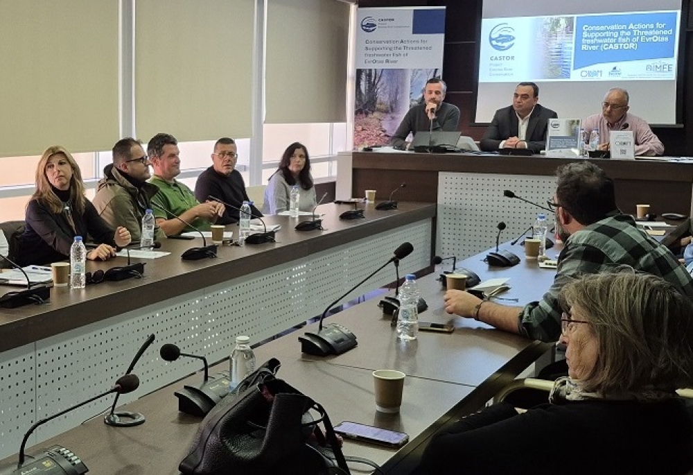 &laquo;Castor&raquo;-&phi;ύ&lambda;&alpha;&kappa;&alpha;&sigmaf; &gamma;&iota;&alpha; &tau;&omicron; &omicron;&iota;&kappa;&omicron;&sigma;ύ&sigma;&tau;&eta;&mu;&alpha; &tau;&omicron;&upsilon; &Epsilon;&upsilon;&rho;ώ&tau;&alpha;