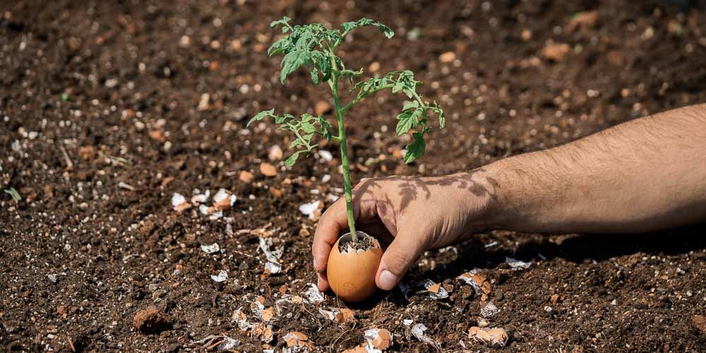 &Pi;ώ&sigmaf; &tau;&alpha; &tau;&sigma;ό&phi;&lambda;&iota;&alpha; &alpha;&upsilon;&gamma;&omicron;ύ &kappa;ά&nu;&omicron;&upsilon;&nu; &kappa;&alpha;&lambda;ό &sigma;&tau;&alpha; &phi;&upsilon;&tau;ά &sigma;&omicron;&upsilon;