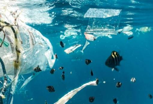 Ρύπανση από πλαστικό