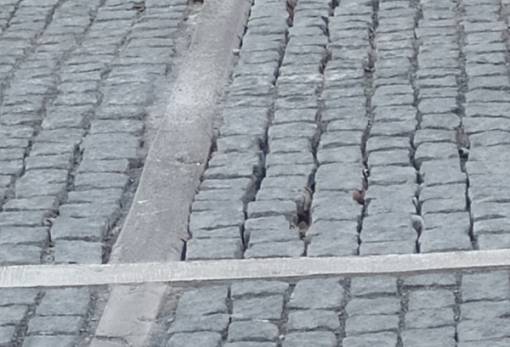 Το δικό σας σχόλιο: Το «Τραμ» της Σπάρτης και… άλλα