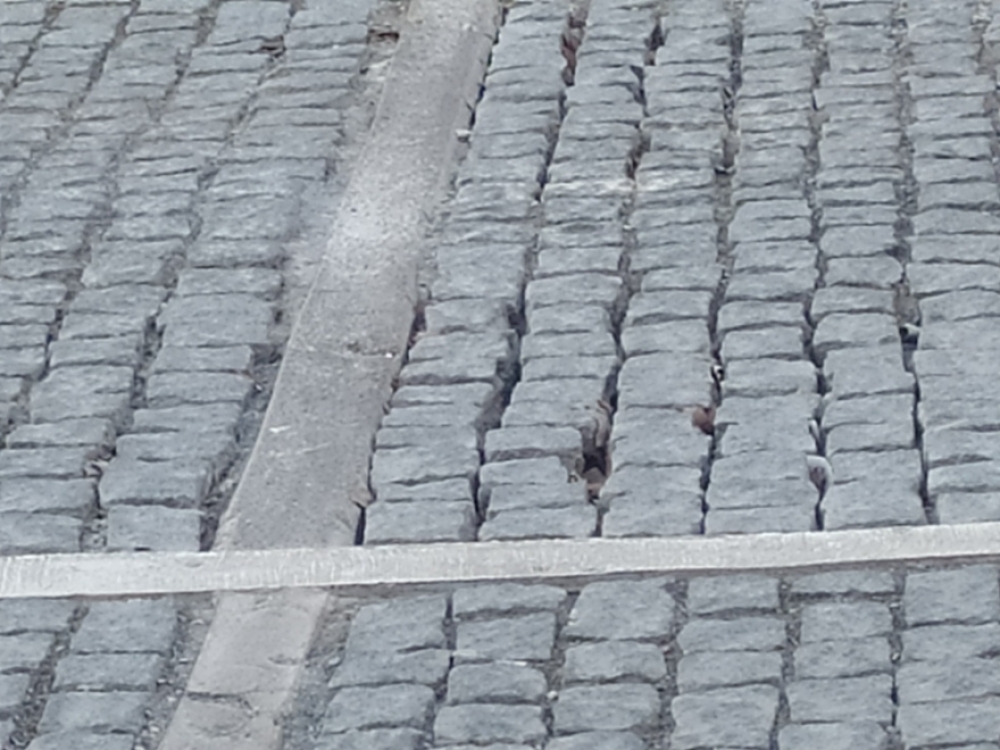 &Tau;&omicron; &delta;&iota;&kappa;ό &sigma;&alpha;&sigmaf; &sigma;&chi;ό&lambda;&iota;&omicron;: &Tau;&omicron; &laquo;&Tau;&rho;&alpha;&mu;&raquo; &tau;&eta;&sigmaf; &Sigma;&pi;ά&rho;&tau;&eta;&sigmaf; &kappa;&alpha;&iota;&hellip; ά&lambda;&lambda;&alpha;