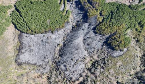 &Sigma;&tau;&omicron; &kappa;&alpha;&theta;ή&kappa;&omicron;&nu; &tau;&eta;&sigmaf; &eta; &Pi;&omicron;&lambda;&iota;&tau;&iota;&kappa;ή &Pi;&rho;&omicron;&sigma;&tau;&alpha;&sigma;ί&alpha; &Sigma;&pi;ά&rho;&tau;&eta;&sigmaf; &sigma;&tau;&eta; &phi;&omega;&tau;&iota;ά &tau;&omega;&nu; &Kappa;&alpha;&rho;&upsilon;ώ&nu;