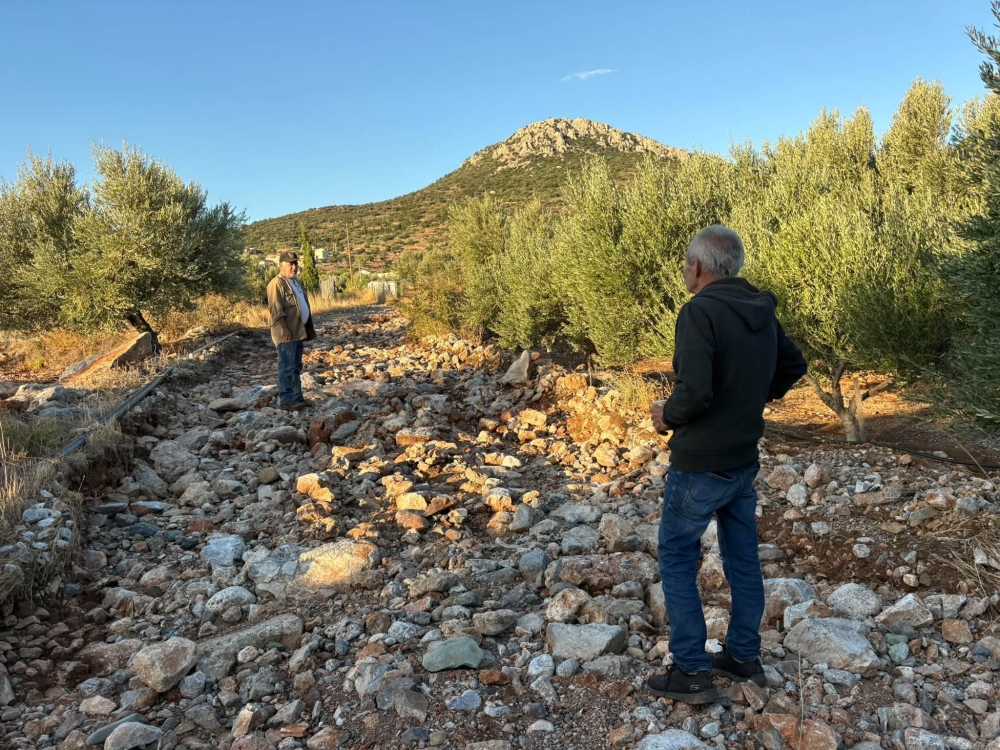 &Alpha;&nu;&upsilon;&pi;&omicron;&lambda;ό&gamma;&iota;&sigma;&tau;&epsilon;&sigmaf; &zeta;&eta;&mu;&iota;έ&sigmaf; &sigma;&epsilon; &alpha;&gamma;&rho;&omicron;&tau;&iota;&kappa;ή &omicron;&delta;&omicron;&pi;&omicron;&iota;ί&alpha; &kappa;&alpha;&iota; ύ&delta;&rho;&epsilon;&upsilon;&sigma;&eta; &sigma;&tau;&omicron;&nu; &Delta;. &Mu;&omicron;&nu;&epsilon;&mu;&beta;&alpha;&sigma;ί&alpha;&sigmaf;