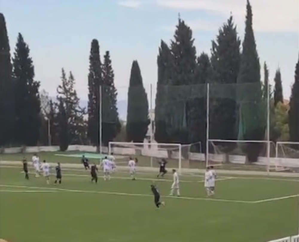 &Epsilon;&kappa;&tau;ό&sigmaf; &sigma;&upsilon;&nu;έ&chi;&epsilon;&iota;&alpha;&sigmaf; &Kappa;&upsilon;&pi;έ&lambda;&lambda;&omicron;&upsilon; &Epsilon;&rho;&alpha;&sigma;&iota;&tau;&epsilon;&chi;&nu;ώ&nu; &omicron; &Pi;&alpha;&nu;&gamma;&upsilon;&theta;&epsilon;&alpha;&tau;&iota;&kappa;ό&sigmaf;