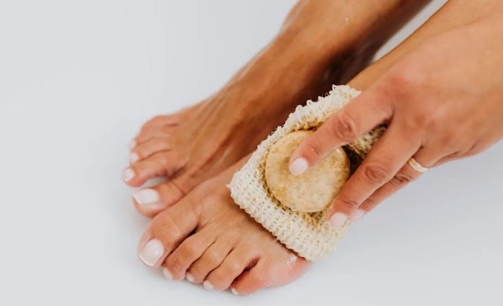 &Pi;&omicron;&delta;ό&lambda;&omicron;&upsilon;&tau;&rho;&omicron; &mu;&epsilon; &xi;ί&delta;&iota; &amp; &delta;&epsilon;&nu;&tau;&rho;&omicron;&lambda;ί&beta;&alpha;&nu;&omicron;: &Eta; &phi;&upsilon;&sigma;&iota;&kappa;ή &alpha;&pi;&omicron;&tau;&omicron;&xi;ί&nu;&omega;&sigma;&eta; &pi;&omicron;&upsilon; &theta;&alpha; &lambda;&alpha;&tau;&rho;έ&psi;&omicron;&upsilon;&nu; &tau;&alpha; &pi;ό&delta;&iota;&alpha; &sigma;&omicron;&upsilon;