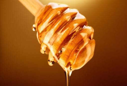 «e-honey»: Σε ψηφιακή παρακολούθηση η διαδρομή του μελιού