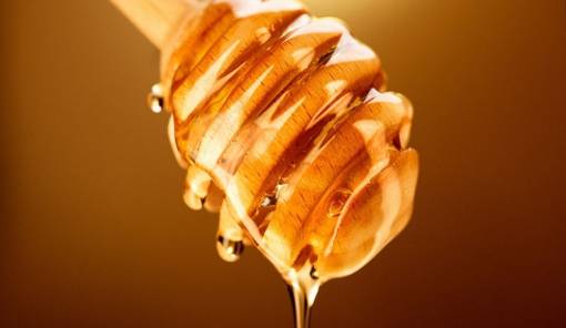 &laquo;e-honey&raquo;: &Sigma;&epsilon; &psi;&eta;&phi;&iota;&alpha;&kappa;ή &pi;&alpha;&rho;&alpha;&kappa;&omicron;&lambda;&omicron;ύ&theta;&eta;&sigma;&eta; &eta; &delta;&iota;&alpha;&delta;&rho;&omicron;&mu;ή &tau;&omicron;&upsilon; &mu;&epsilon;&lambda;&iota;&omicron;ύ