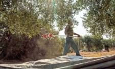 &Sigma;&tau;&omicron;&nu; &laquo;&alpha;έ&rho;&alpha;&raquo; &tau;&alpha; &epsilon;&lambda;&alpha;&iota;&omicron;&kappa;&omicron;&mu;&iota;&kappa;ά &pi;&rho;&omicron;&gamma;&rho;ά&mu;&mu;&alpha;&tau;&alpha;