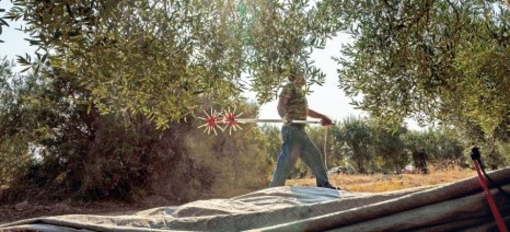 &Sigma;&tau;&omicron;&nu; &laquo;&alpha;έ&rho;&alpha;&raquo; &tau;&alpha; &epsilon;&lambda;&alpha;&iota;&omicron;&kappa;&omicron;&mu;&iota;&kappa;ά &pi;&rho;&omicron;&gamma;&rho;ά&mu;&mu;&alpha;&tau;&alpha;