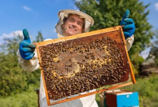 Σεμινάριο μελισσοκομίας από τον Σύλλογο Επαγγελματιών Μελισσοκόμων