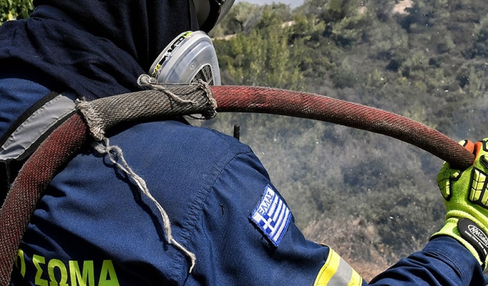 &Phi;&omega;&tau;&iota;ά &mu;&epsilon;&tau;&alpha;&xi;ύ &Kappa;&alpha;&rho;&upsilon;ώ&nu; &kappa;&alpha;&iota; &Alpha;&gamma;ί&omicron;&upsilon; &Pi;έ&tau;&rho;&omicron;&upsilon; (&Sigma;&Upsilon;&Nu;&Epsilon;&Chi;&Eta;&Sigma; &Epsilon;&Nu;&Eta;&Mu;&Epsilon;&Rho;&Omega;&Sigma;&Eta;)