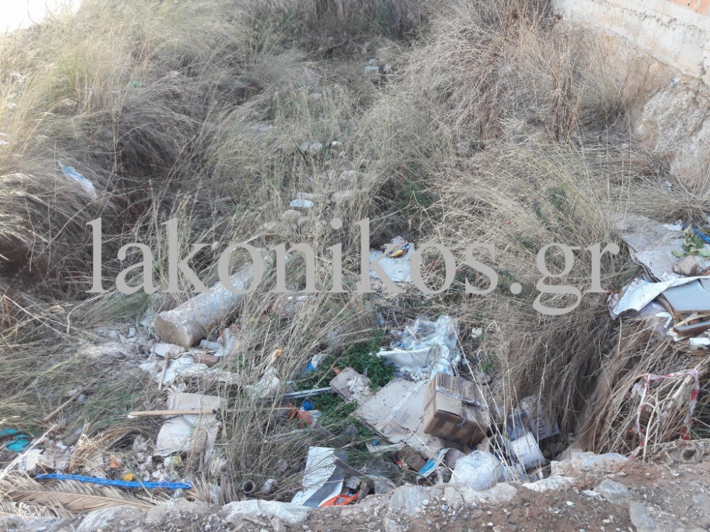 &Sigma;&kappa;&omicron;&upsilon;&pi;ί&delta;&iota;&alpha; &mu;&alpha;&zeta;ί &mu;&epsilon;&hellip; &alpha;&rho;&chi;&alpha;ί&alpha; &alpha;&pi;έ&nu;&alpha;&nu;&tau;&iota; &alpha;&pi;ό &tau;&omicron; &kappa;&epsilon;&nu;&omicron;&tau;ά&phi;&iota;&omicron; &tau;&omicron;&upsilon; &Lambda;&epsilon;&omega;&nu;ί&delta;&alpha; (&Phi;&Omega;&Tau;&Omicron;)