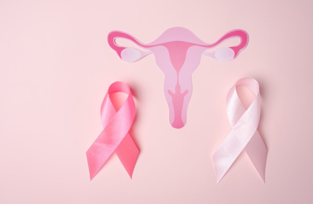 &Tau;&omicron; &Nu;&omicron;&sigma;&omicron;&kappa;&omicron;&mu;&epsilon;ί&omicron; &Sigma;&pi;ά&rho;&tau;&eta;&sigmaf; &sigma;&tau;&omicron; &Epsilon;&theta;&nu;&iota;&kappa;ό &Pi;&rho;ό&gamma;&rho;&alpha;&mu;&mu;&alpha; &gamma;&iota;&alpha; &tau;&omicron;&nu; &kappa;&alpha;&rho;&kappa;ί&nu;&omicron; &tau;&omicron;&upsilon; &tau;&rho;&alpha;&chi;ή&lambda;&omicron;&upsilon; &tau;&eta;&sigmaf; &mu;ή&tau;&rho;&alpha;&sigmaf;