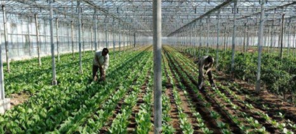 &Epsilon;&iota;&delta;&iota;&kappa;έ&sigmaf; &rho;&upsilon;&theta;&mu;ί&sigma;&epsilon;&iota;&sigmaf; &gamma;&iota;&alpha; &epsilon;&rho;&gamma;ά&tau;&epsilon;&sigmaf; &gamma;&eta;&sigmaf; &zeta;&eta;&tau;&omicron;ύ&nu; &omicron;&iota; &sigma;&upsilon;&nu;&epsilon;&tau;&alpha;&iota;&rho;&iota;&sigma;&mu;&omicron;ί