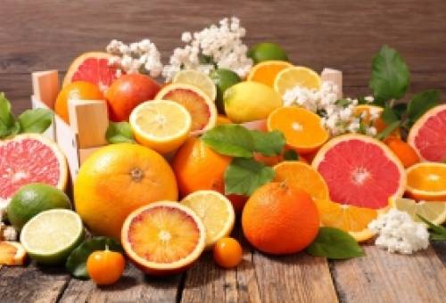 Άρδευση στα εσπεριδοειδή: Πώς η σωστή διαχείριση νερού αλλάζει την παραγωγή