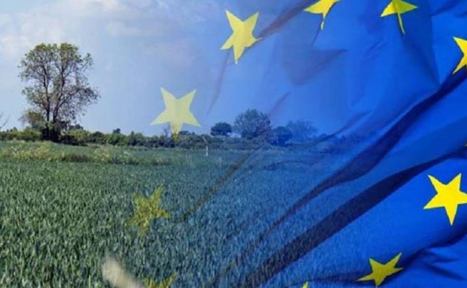 &laquo;&Lambda;ά&delta;&iota;&raquo; &sigma;&tau;&eta;&nu; &pi;&alpha;&rho;&alpha;&gamma;&omega;&gamma;&iota;&kappa;ή &mu;&eta;&chi;&alpha;&nu;ή ή &Kappa;&Alpha;&Pi;(έ&lambda;&omega;&mu;&alpha;) &tau;&eta;&sigmaf; &upsilon;&pi;&alpha;ί&theta;&rho;&omicron;&upsilon;;