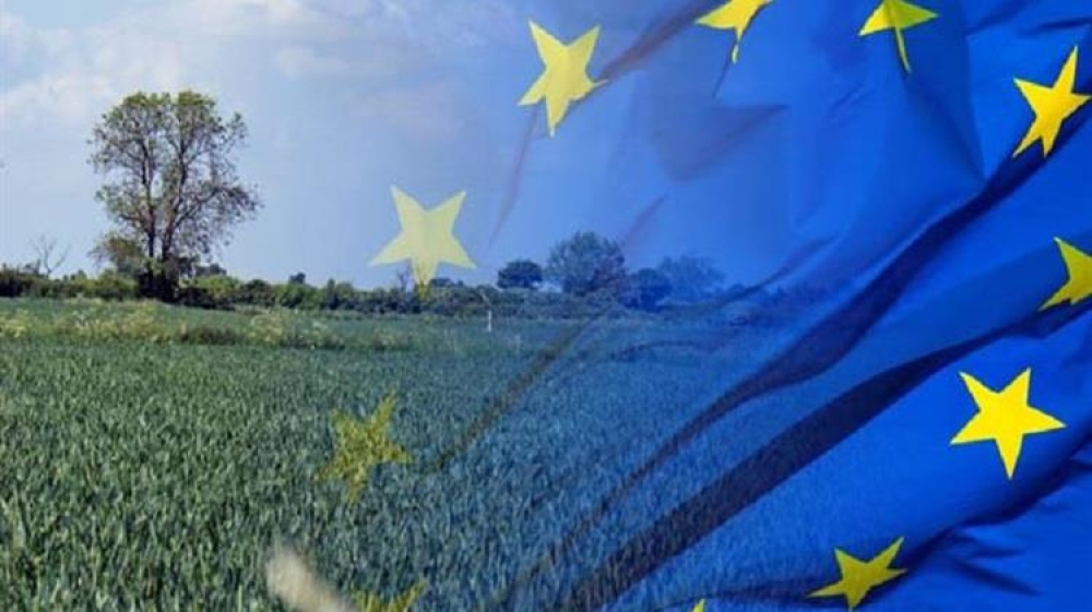 &laquo;&Lambda;ά&delta;&iota;&raquo; &sigma;&tau;&eta;&nu; &pi;&alpha;&rho;&alpha;&gamma;&omega;&gamma;&iota;&kappa;ή &mu;&eta;&chi;&alpha;&nu;ή ή &Kappa;&Alpha;&Pi;(έ&lambda;&omega;&mu;&alpha;) &tau;&eta;&sigmaf; &upsilon;&pi;&alpha;ί&theta;&rho;&omicron;&upsilon;;