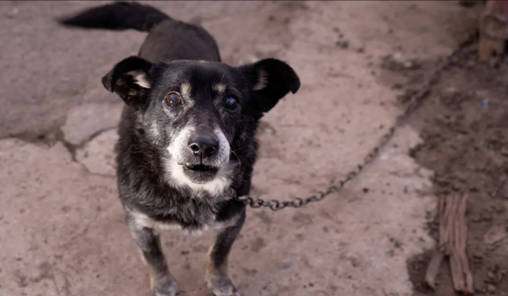 &Sigma;ύ&lambda;&lambda;&eta;&psi;&eta; ά&nu;&delta;&rho;&alpha; &sigma;&tau;&eta; &Mu;&omicron;&nu;&epsilon;&mu;&beta;&alpha;&sigma;&iota;ά &lambda;ό&gamma;&omega; &kappa;&alpha;&kappa;&omicron;&mu;&epsilon;&tau;&alpha;&chi;&epsilon;ί&rho;&iota;&sigma;&eta;&sigmaf; &sigma;&kappa;ύ&lambda;&omega;&nu;