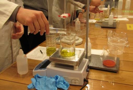 Λάδι και σαπούνι «σμίγουν» σε μια διδακτική εμπειρία στη Λακωνία