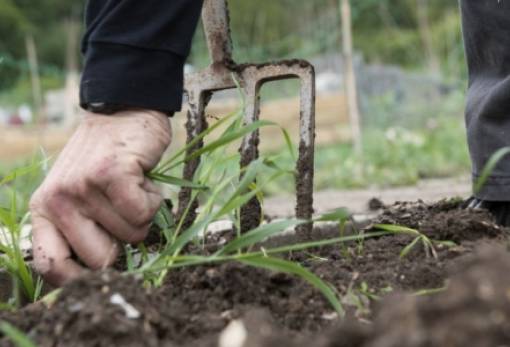20 προσλήψεις εποχικών στο Δήμο Σπάρτης