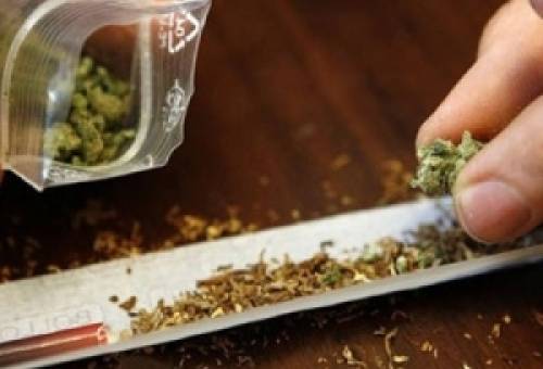 Σε «μπελάδες» για λίγη κάνναβη άνδρας στον Δ. Μονεμβασίας