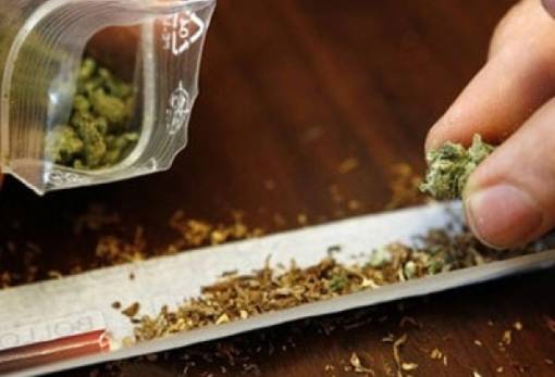 Σε «μπελάδες» για λίγη κάνναβη άνδρας στον Δ. Μονεμβασίας