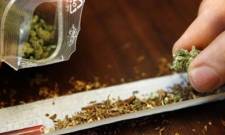 Σε «μπελάδες» για λίγη κάνναβη άνδρας στον Δ. Μονεμβασίας